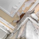 Dégâts importants causés par une infiltration d’eau dans un mur après un sinistre habitation